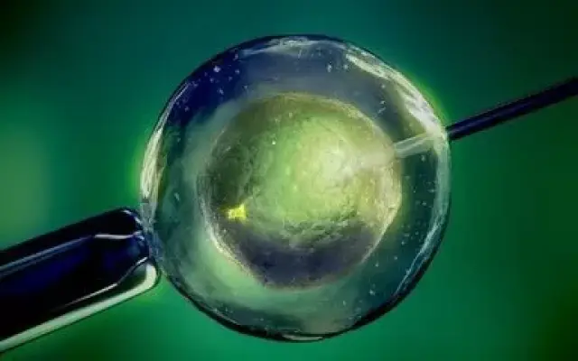 供卵代怀生男宝代生包成功